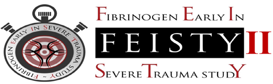 FEISTYII_logo.png